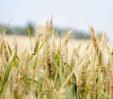 5fa90ed6814cd-500x334