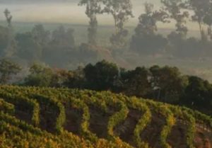 %e3%82%b9%e3%82%af%e3%83%aa%e3%83%bc%e3%83%b3%e3%82%b7%e3%83%a7%e3%83%83%e3%83%88-2025-06-21-170220