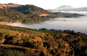 %e3%82%b9%e3%82%af%e3%83%aa%e3%83%bc%e3%83%b3%e3%82%b7%e3%83%a7%e3%83%83%e3%83%88-2025-06-21-170111