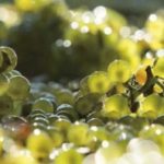 %e3%82%b9%e3%82%af%e3%83%aa%e3%83%bc%e3%83%b3%e3%82%b7%e3%83%a7%e3%83%83%e3%83%88-2025-07-30-131417