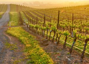 %e3%82%b9%e3%82%af%e3%83%aa%e3%83%bc%e3%83%b3%e3%82%b7%e3%83%a7%e3%83%83%e3%83%88-2025-07-23-162327