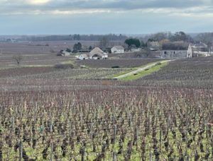 %e3%82%b3%e3%82%b7%e3%83%a5%e3%83%bb%e3%83%87%e3%83%a5%e3%83%aa%e3%80%80%e7%95%91