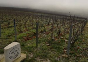 %e3%83%a2%e3%82%a8%e3%83%bb%e3%82%a8%e3%83%bb%e3%82%b7%e3%83%a3%e3%83%b3%e3%83%89%e3%83%b3%e7%a4%be%e6%89%80%e6%9c%89%e3%81%ae%e7%95%91