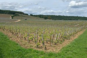 %e3%83%ac%e3%83%bb%e3%82%b9%e3%82%b7%e3%83%a7%e3%80%80%e7%95%91