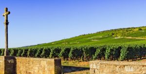 %e3%83%b4%e3%82%a9%e3%83%bc%e3%83%8c%e3%83%bb%e3%83%ad%e3%83%9e%e3%83%8d%e6%9d%91