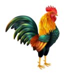 colorful-realistic-rooster_1284-10245