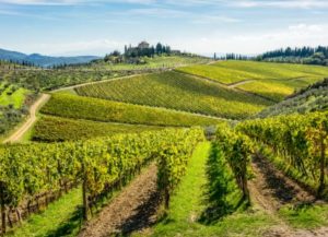 %e3%82%b9%e3%82%af%e3%83%aa%e3%83%bc%e3%83%b3%e3%82%b7%e3%83%a7%e3%83%83%e3%83%88-2025-09-12-165106