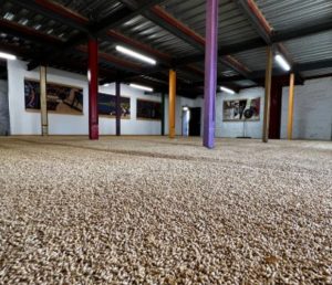 %e3%82%b9%e3%82%af%e3%83%aa%e3%83%bc%e3%83%b3%e3%82%b7%e3%83%a7%e3%83%83%e3%83%88-2025-09-10-181325