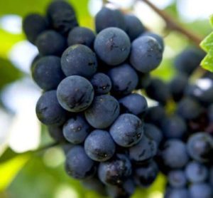%e3%82%b9%e3%82%af%e3%83%aa%e3%83%bc%e3%83%b3%e3%82%b7%e3%83%a7%e3%83%83%e3%83%88-2025-10-04-150210