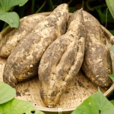 %e7%84%bc%e9%85%8e%e7%94%a8%e3%82%b5%e3%83%84%e3%83%9e%e3%82%a4%e3%83%a2