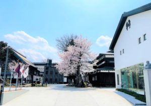 %e9%ab%98%e6%9c%a8%e9%85%92%e9%80%a0