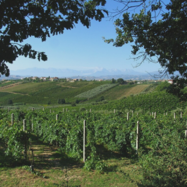 %e3%82%a4%e3%82%bf%e3%83%aa%e3%82%a2%e3%83%af%e3%82%a4%e3%83%b3%ef%bc%92