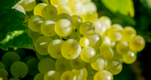 %e3%82%b9%e3%82%af%e3%83%aa%e3%83%bc%e3%83%b3%e3%82%b7%e3%83%a7%e3%83%83%e3%83%88-2025-11-07-150043