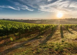 %e3%82%a2%e3%82%b9%e3%83%88%e3%83%a9%e3%83%94%e3%83%bc%e3%82%af