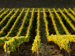 %e3%82%b9%e3%82%af%e3%83%aa%e3%83%bc%e3%83%b3%e3%82%b7%e3%83%a7%e3%83%83%e3%83%88-2025-11-23-181723