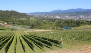 %e5%8c%97%e6%b5%b7%e9%81%93%e4%bb%81%e6%9c%a8%e7%94%ba