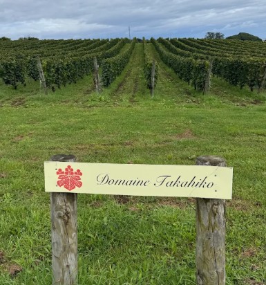 %e3%82%b9%e3%82%af%e3%83%aa%e3%83%bc%e3%83%b3%e3%82%b7%e3%83%a7%e3%83%83%e3%83%88-2025-12-26-174146