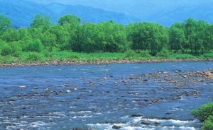 %e4%b9%9d%e9%a0%ad%e7%ab%9c%e5%b7%9d