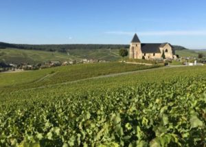 %e3%82%b9%e3%82%af%e3%83%aa%e3%83%bc%e3%83%b3%e3%82%b7%e3%83%a7%e3%83%83%e3%83%88-2025-12-15-173556