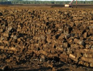 %e3%82%b9%e3%82%af%e3%83%aa%e3%83%bc%e3%83%b3%e3%82%b7%e3%83%a7%e3%83%83%e3%83%88-2026-01-29-180832