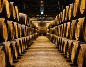 %e3%82%b9%e3%82%af%e3%83%aa%e3%83%bc%e3%83%b3%e3%82%b7%e3%83%a7%e3%83%83%e3%83%88-2026-01-29-180706