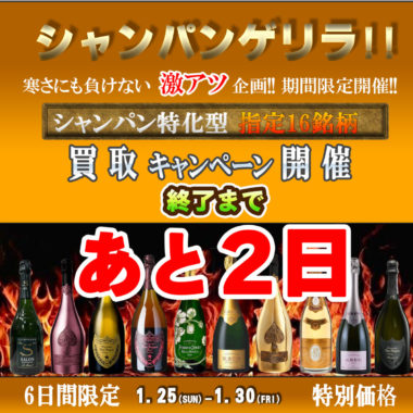 2026%e5%b9%b41%e6%9c%88%e3%80%80%e3%82%b7%e3%83%a3%e3%83%b3%e3%83%91%e3%83%b3%e3%82%b2%e3%83%aa%e3%83%a9cp%e3%80%80%e3%82%b9%e3%82%af%e3%82%a8%e3%82%a2%e3%80%80%e3%82%ab%e3%82%a6%e3%83%b3%e3%83%88