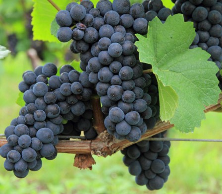 %e3%82%b9%e3%82%af%e3%83%aa%e3%83%bc%e3%83%b3%e3%82%b7%e3%83%a7%e3%83%83%e3%83%88-2026-01-16-112143