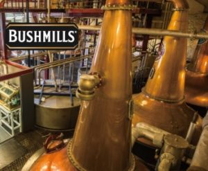 %e3%82%b9%e3%82%af%e3%83%aa%e3%83%bc%e3%83%b3%e3%82%b7%e3%83%a7%e3%83%83%e3%83%88-2026-01-29-180930