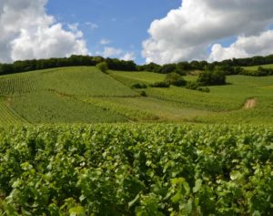 %e3%83%ab%e3%83%bb%e3%83%a1%e3%83%8b%e3%83%ab%e3%83%bb%e3%82%b7%e3%83%a5%e3%83%bc%e3%83%ab%e3%83%bb%e3%82%aa%e3%82%b8%e3%82%a7