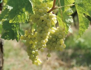 %e3%82%b9%e3%82%af%e3%83%aa%e3%83%bc%e3%83%b3%e3%82%b7%e3%83%a7%e3%83%83%e3%83%88-2026-01-26-190531