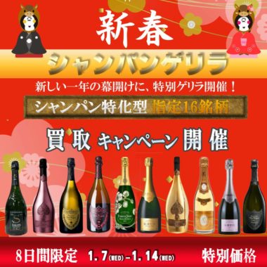 2026%e5%b9%b41%e6%9c%88%e3%80%80%e3%82%b7%e3%83%a3%e3%83%b3%e3%83%91%e3%83%b3%e3%82%b2%e3%83%aa%e3%83%a9cp%e3%80%80%e3%82%b9%e3%82%af%e3%82%a8%e3%82%a2-%e3%81%ae%e3%82%b3%e3%83%94%e3%83%bc