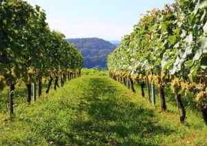 %e3%82%b9%e3%82%af%e3%83%aa%e3%83%bc%e3%83%b3%e3%82%b7%e3%83%a7%e3%83%83%e3%83%88-2026-02-07-180926