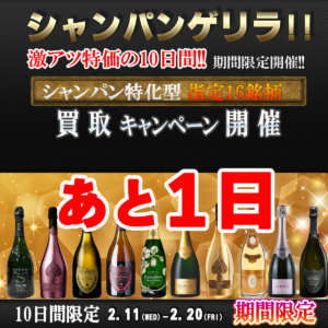 2026%e5%b9%b42%e6%9c%88%e3%80%80%e3%82%b7%e3%83%a3%e3%83%b3%e3%83%91%e3%83%b3%e3%82%b2%e3%83%aa%e3%83%a9cp%e3%80%80%e3%82%b9%e3%82%af%e3%82%a8%e3%82%a2-%e3%81%82%e3%81%a81%e6%97%a5