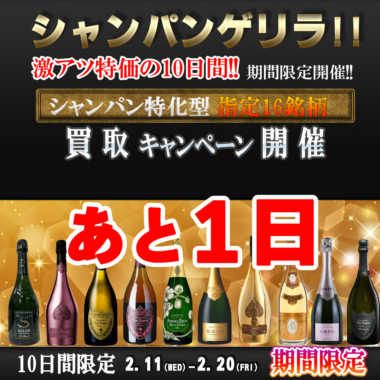 2026%e5%b9%b42%e6%9c%88%e3%80%80%e3%82%b7%e3%83%a3%e3%83%b3%e3%83%91%e3%83%b3%e3%82%b2%e3%83%aa%e3%83%a9cp%e3%80%80%e3%82%b9%e3%82%af%e3%82%a8%e3%82%a2-%e3%81%82%e3%81%a81%e6%97%a5