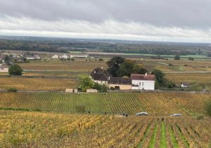 %e3%83%9c%e3%83%b3%e3%83%8c%e3%83%9e%e3%83%bc%e3%83%ab%ef%bc%92