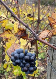 %e3%83%9c%e3%83%b3%e3%83%8c%e3%83%9e%e3%83%bc%e3%83%ab%ef%bc%93