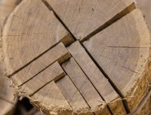 %e3%82%b9%e3%82%af%e3%83%aa%e3%83%bc%e3%83%b3%e3%82%b7%e3%83%a7%e3%83%83%e3%83%88-2026-02-21-140811