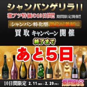 2026%e5%b9%b42%e6%9c%88%e3%80%80%e3%82%b7%e3%83%a3%e3%83%b3%e3%83%91%e3%83%b3%e3%82%b2%e3%83%aa%e3%83%a9cp%e3%80%80%e3%82%b9%e3%82%af%e3%82%a8%e3%82%a2-1-%e3%81%ae%e3%82%b3%e3%83%94%e3%83%bc