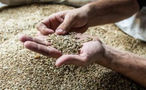 %e3%82%b9%e3%82%af%e3%83%aa%e3%83%bc%e3%83%b3%e3%82%b7%e3%83%a7%e3%83%83%e3%83%88-2026-02-21-140944