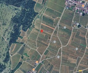 %e3%83%9c%e3%83%b3%e3%83%8c%e3%83%9e%e3%83%bc%e3%83%ab