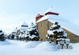 %e3%82%b9%e3%82%af%e3%83%aa%e3%83%bc%e3%83%b3%e3%82%b7%e3%83%a7%e3%83%83%e3%83%88-2026-02-14-140114