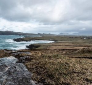 %e3%82%b9%e3%82%af%e3%83%aa%e3%83%bc%e3%83%b3%e3%82%b7%e3%83%a7%e3%83%83%e3%83%88-2026-02-10-192317