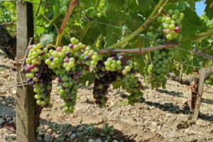 %e3%82%b9%e3%82%af%e3%83%aa%e3%83%bc%e3%83%b3%e3%82%b7%e3%83%a7%e3%83%83%e3%83%88-2026-02-03-180737