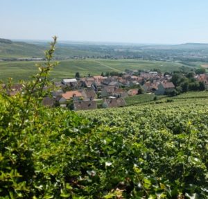 %e3%82%aa%e3%83%bc%e3%83%b4%e3%82%a3%e3%83%ac%e3%83%bc%e3%83%ab