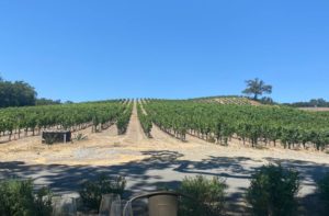 %e3%82%b9%e3%82%af%e3%83%aa%e3%83%bc%e3%83%b3%e3%82%b7%e3%83%a7%e3%83%83%e3%83%88-2026-03-19-170044