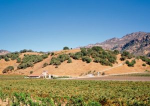 %e3%82%aa%e3%83%bc%e3%83%91%e3%82%b9%e3%83%af%e3%83%b3