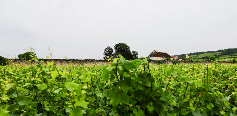 %e3%82%b9%e3%82%af%e3%83%aa%e3%83%bc%e3%83%b3%e3%82%b7%e3%83%a7%e3%83%83%e3%83%88-2026-03-09-143001