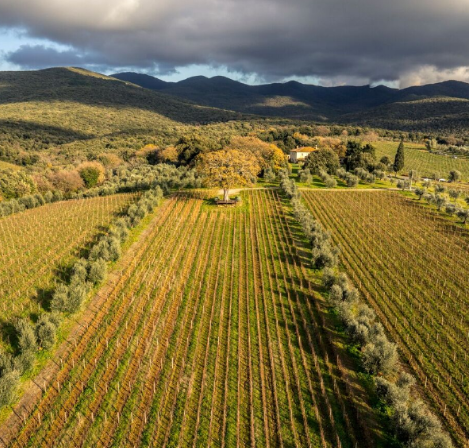 %e3%82%b9%e3%82%af%e3%83%aa%e3%83%bc%e3%83%b3%e3%82%b7%e3%83%a7%e3%83%83%e3%83%88-2026-03-07-162552