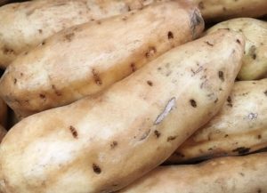 %e3%82%b9%e3%82%af%e3%83%aa%e3%83%bc%e3%83%b3%e3%82%b7%e3%83%a7%e3%83%83%e3%83%88-2026-03-26-175221