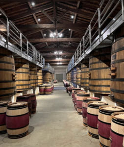 %e3%82%b9%e3%82%af%e3%83%aa%e3%83%bc%e3%83%b3%e3%82%b7%e3%83%a7%e3%83%83%e3%83%88-2026-03-01-171900